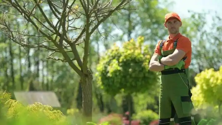 landscaping services Union